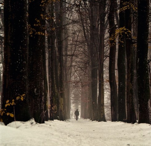 tumblr_metvkr2zFh1qas1mto6_r3_1280