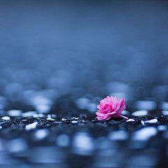 5302015421_20ec03f8c9_m